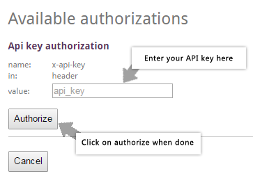 authorizing the API explorer, step two